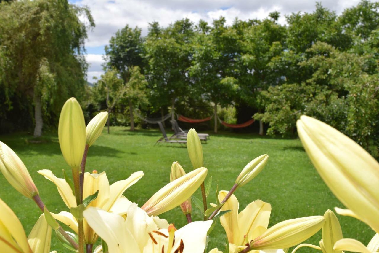 Casa Miguel Apartment Olea ภายนอก รูปภาพ